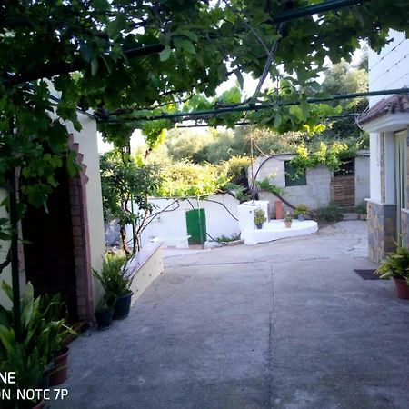 Casa El Pino Guest House Кортес де ла Фронтера Екстериор снимка