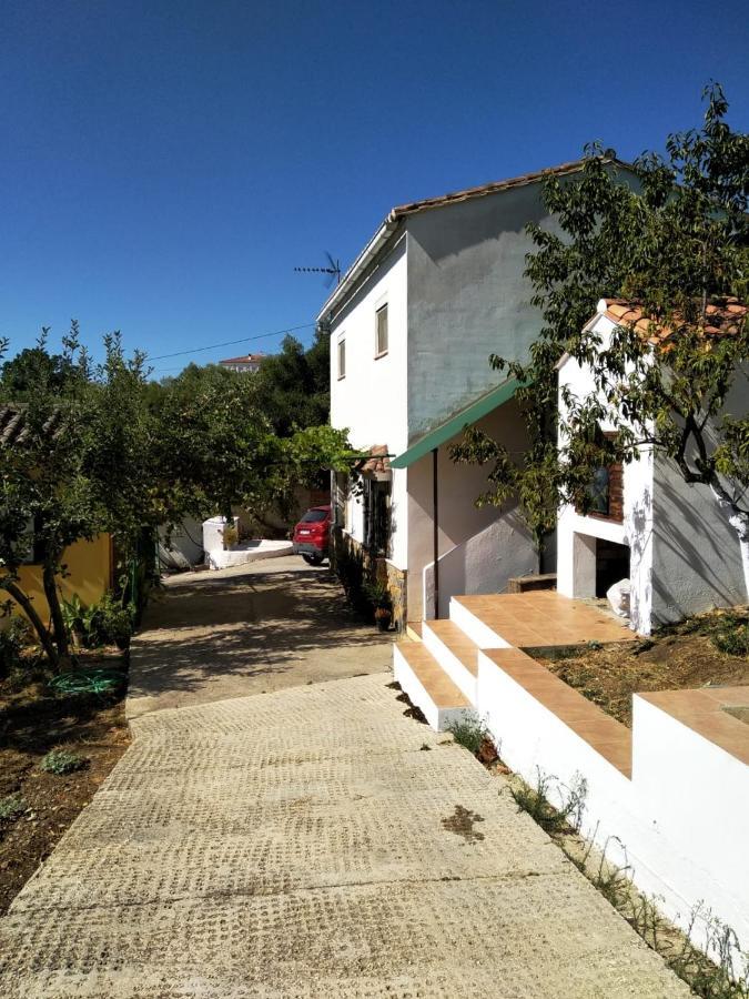 Casa El Pino Guest House Кортес де ла Фронтера Екстериор снимка